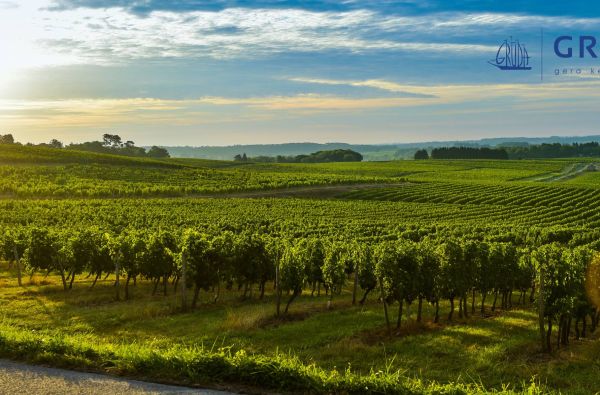 Pietvakarių Prancūzijos stebuklai 10d.