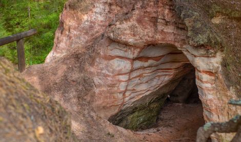 Estija. Piusa smiltanio olos.