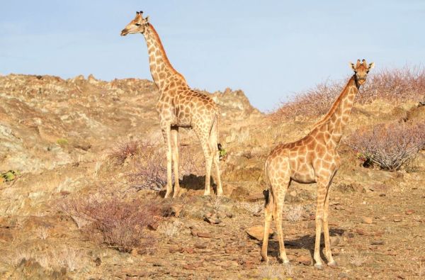 ANGOLA – už turistinių maršrutų ribų: peizažai, gentys ir Atlantas 15d.