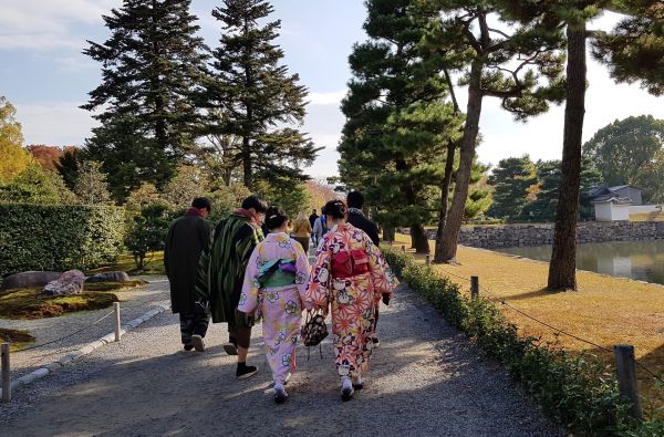 Japonija - sakuros žiedas