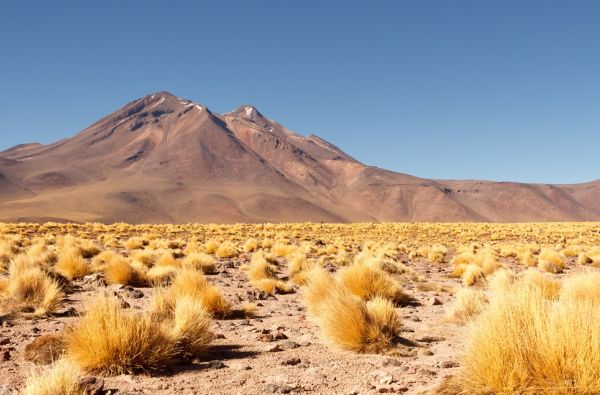 Didžioji ekspedicija po Pietų Ameriką ir Okeaniją: Argentina - Čilė - Patagonija - Ugnies žemė - Velykų sala 20d. (24d.)