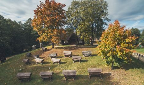 Senovinės bitininkystės muziejus