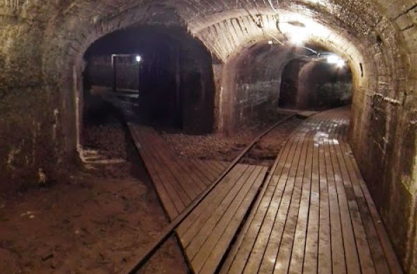 Artimoje, bet kitokioje Estijoje