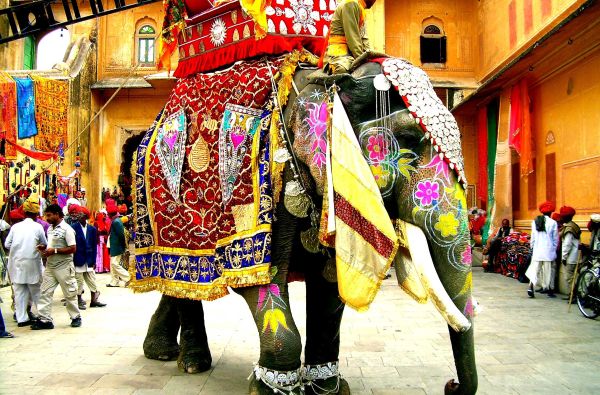 Spalvingoji INDIJOS MOZAIKA: Puškaras, Auksinis trikampis ir Varanasis - išsamiai ir be skubos 13d.