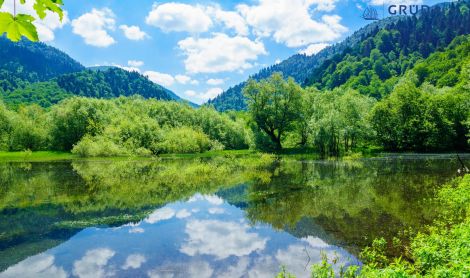 Juodkalnija. Biogradska Gora.