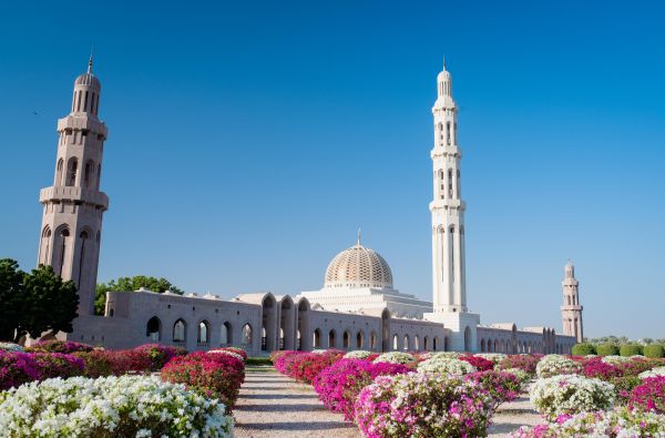 Omanas – Arabijos perlas, Frankincenso žemė 9d.