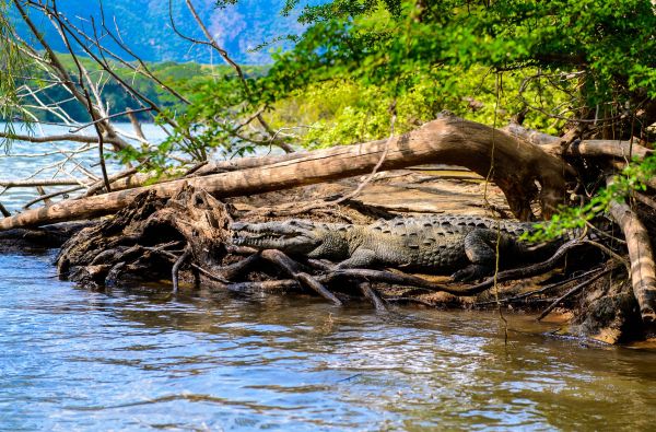 Didingoji Meksika – paslapčių žemė su poilsiu Kankuno kurorte 14d.