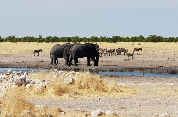 Namibija - Botsvana - Zimbabvė. Patyriminė kelionė ir laukinės gamtos nuotykių  safaris  po Juodąją Užsacharės Afriką 16d.
