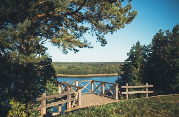 Ladakalnio apžvalgos aikštelė