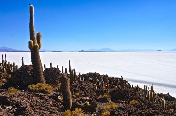 ČILĖ – BOLIVIJA, aplankant Atakamos dykumą, Ujūnio druskos „sniegynus“ ir Patagonijos ledynus. Kelionės pratęsimas Velykų saloje 14d. (18d.)