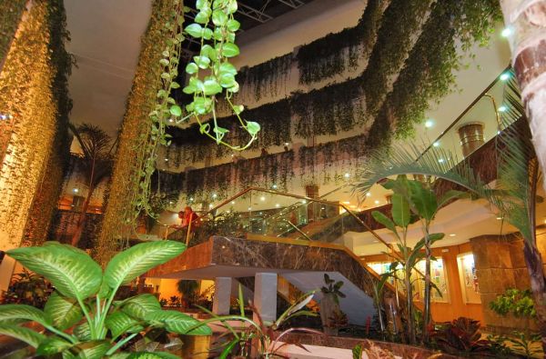 Plaja de las Amerikas. Linksmybių ir aktyvaus poilsio mėgėjų atostogos TENERIFĖJE. Skrydis, 7n. viešbutyje GALA 4*, su pusryčiais - nuo 669 €!