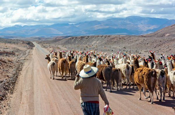 ČILĖ – BOLIVIJA, aplankant Atakamos dykumą, Ujūnio druskos „sniegynus“ ir Patagonijos ledynus. Kelionės pratęsimas Velykų saloje 14d. (18d.)