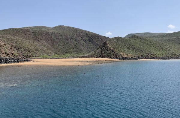 Sudanas - Džibutis. Poilsis ir pramogos prie Indijos vandenyno 15d.