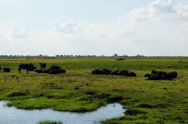 Namibija - Botsvana - Zimbabvė. Patyriminė kelionė ir laukinės gamtos nuotykių  safaris  po Juodąją Užsacharės Afriką 16d.