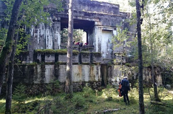 Estijos gamtos lobynas 4d.