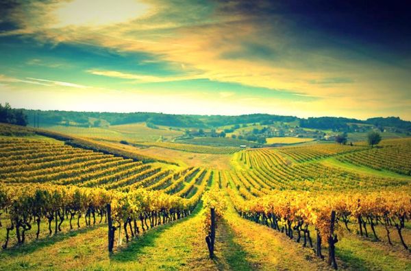 Sakartvelas ir magiškasis Kaukazo kalnų regionas - Tušetija 8d.