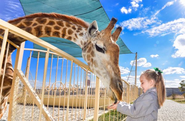Vokietija. Serengečio ir Heidės pramogų parkai, Brėmenas 4d.