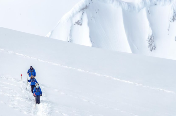 Ekspedicinis Antarktidos kruizas su Albatros Expeditions kompanija vienais naujausių ir moderniausių Ocean Victory ir Ocean Albatros laivais