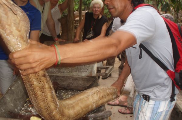 Brazilijos ekspresas – megapolių pulsas ir Eldorado paieškos Amazonės džiunglėse 15d.