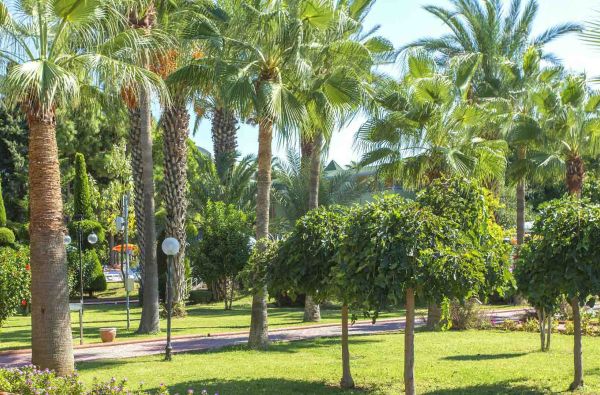 ALANIJA. Saulėtos atostogos. Skrydis, 7n. puikiame viešbutyje LONICERA WORLD 4* su viskas įskaičiuota PLIUS maitinimu!