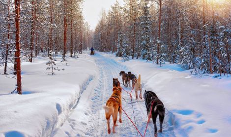 Suomija. Laplandija.