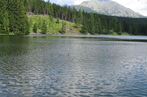 Štrbské Pleso