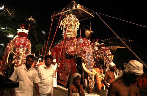 Naujametė Šri Lanka su poilsiu kurorte prie Indijos vandenyno 13d.