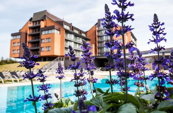 Viešbutis VANAGUPE SPA RESORT PALANGA 5*