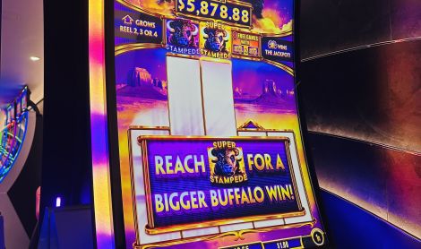 Laisvas laikas, poilsis ir pramogos kruiziniame laive MSC World America