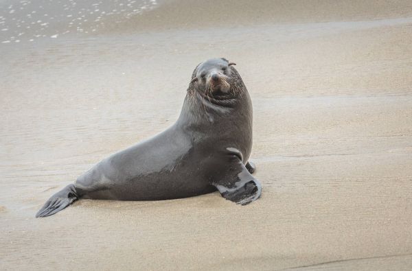 Namibija - „šypsena Afrikos veide“. Laukinės gamtos nuotykių safaris 13d.