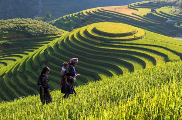 Vietnamo mozaika - visas Vietnamas vienos kelionės metu su poilsiu prie Pietų Kinijos jūros 15d.