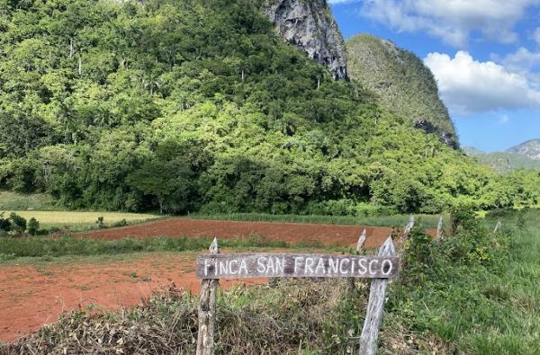 Temperamentingoji Kuba