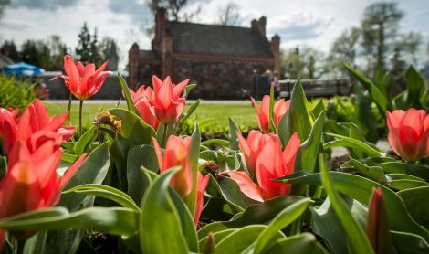 Mažoji Olandija Lietuvoje