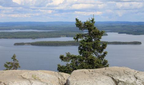 Suomija. Koli kalva.