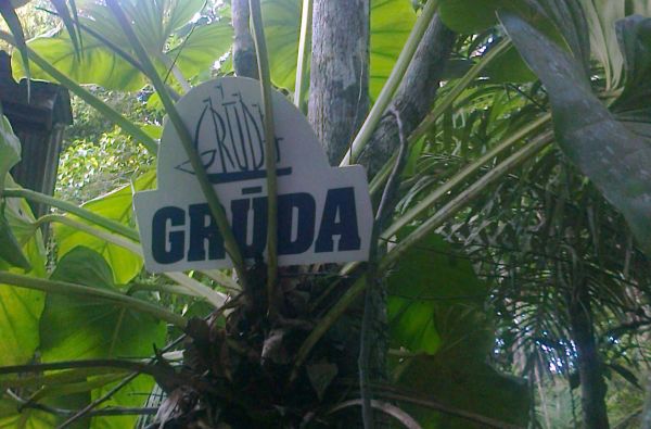 Brazilijos ekspresas – megapolių pulsas ir Eldorado paieškos Amazonės džiunglėse 15d.