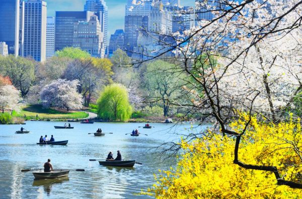 JAV - du vandenynai. Pasaulio sostinė Niujorkas, didingieji Niagaros kriokliai ir JAV vakarų pakrantės topai 14d.