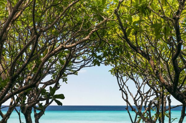 Ištaigingos atostogos Maldyvuose! Skrydis, pervežimas ir 7 n. viešbutyje ONE & ONLY REETHI RAH 5*