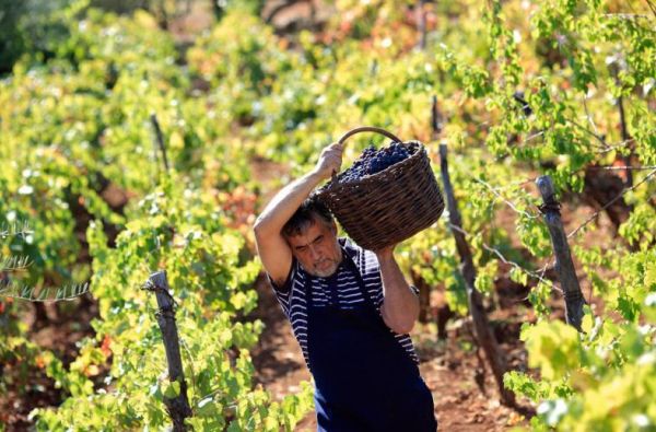 Sakartvelas, Didysis Kaukazas ir Batumis 8d.