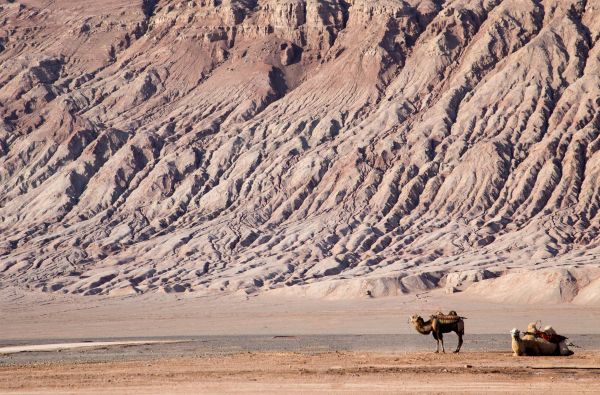 Laukiniai Vakarai Kinijoje Šilko keliu palei Didžiąją kinų sieną, budistinius grotus ir gamtos fantazijas su Avataro kalnais16d.