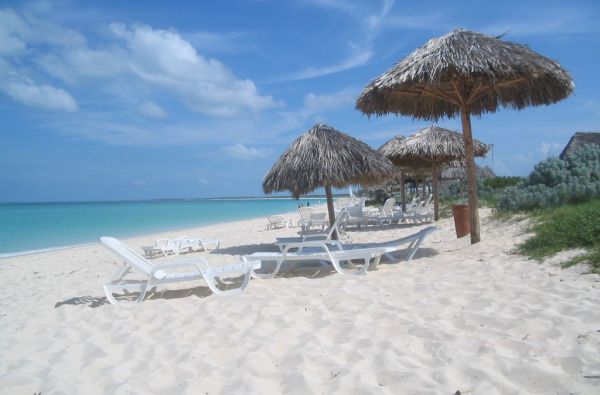 Temperamentingoji Kuba