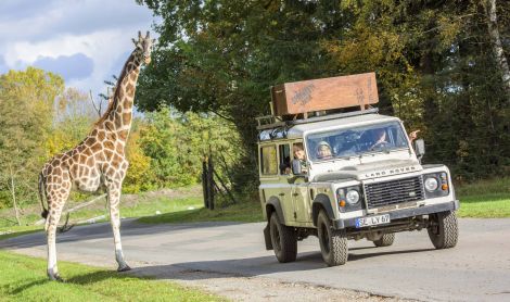 Vokietija. Serengečio parkas.