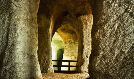 Estija. Piusa smiltanio olos.