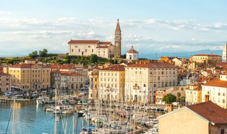 Slovėnija. Piranas.