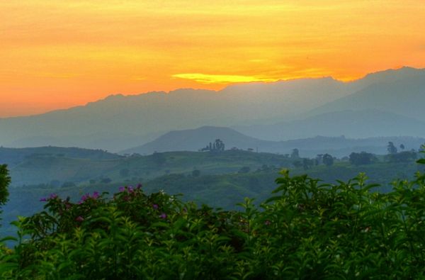 Uganda - Ruanda. Laukinių stebuklų keliais – nuo pasaulio audrų iki primatų sostinės 14d.