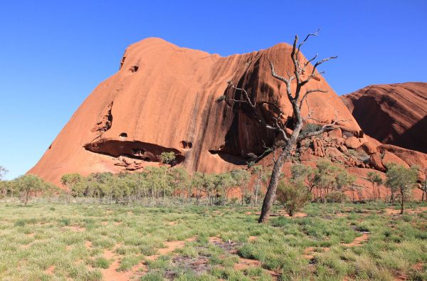 Australija - Naujoji Zelandija 24d.