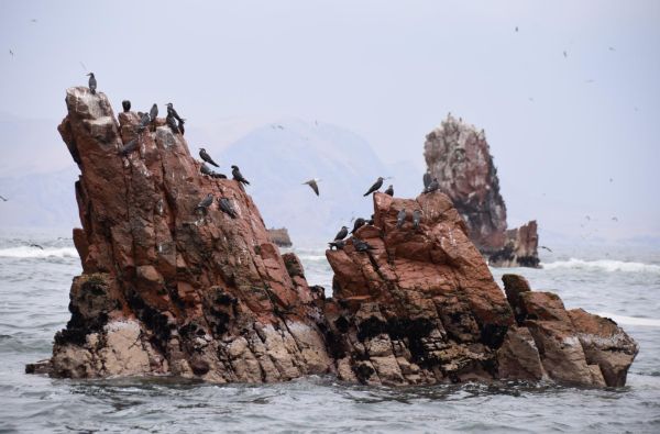 Klasikinė Peru: inkų paslaptys ir Andų didybė, aplankant Vaivorykštinius kalnus ir Amazonės baseino džiungles 14d. (17d.)