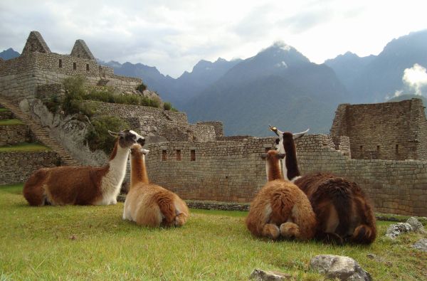 Klasikinė Peru: inkų paslaptys ir Andų didybė, aplankant Vaivorykštinius kalnus ir Amazonės baseino džiungles 14d. (17d.)