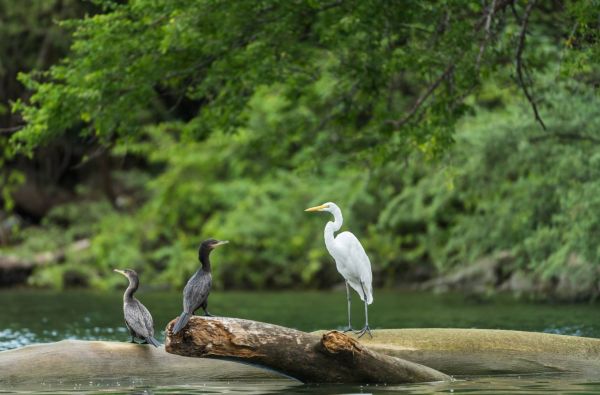 Naujųjų metų sutikimas Meksikoje – paslapčių žemė su poilsiu Kankuno kurorte 14d.