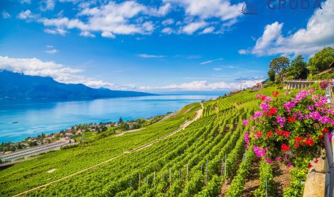 Šveicarija. Kalnai.