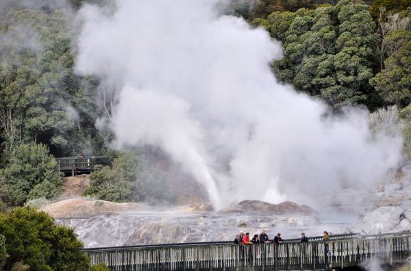 Australija - Naujoji Zelandija 24d.